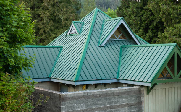 Best Sheet Metal Roofing  in Alva, FL