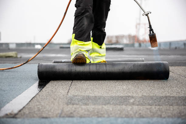 Best Wood Shake Roofing  in Alva, FL