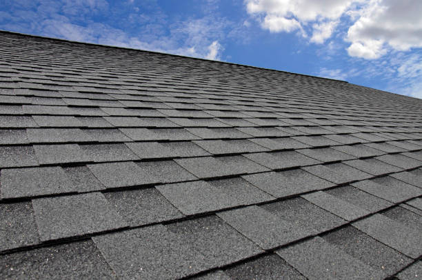 Trusted Alva, FL Roofing Service Experts